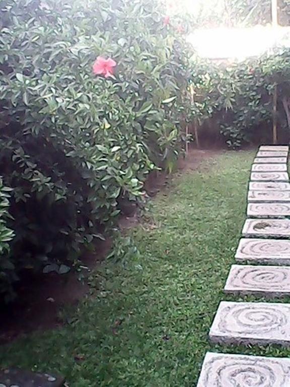 Bali Sari Homestay Амед Экстерьер фото