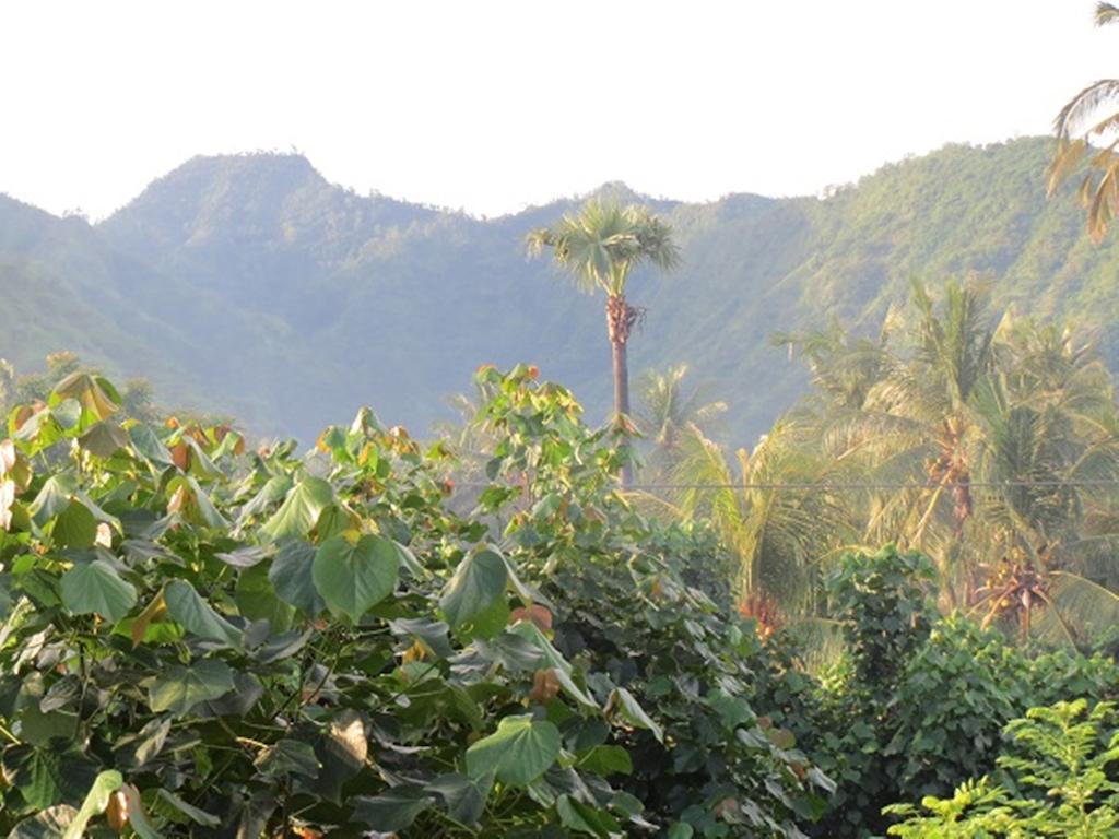 Bali Sari Homestay Амед Экстерьер фото